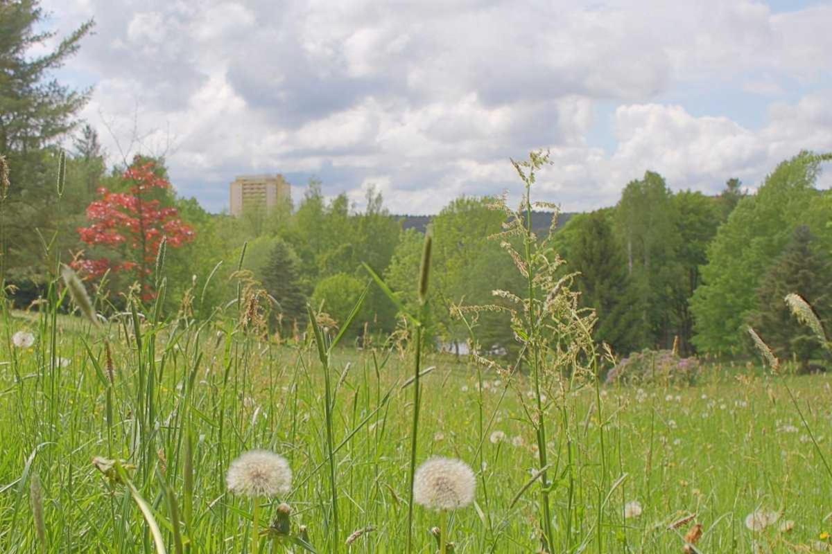 Apartment 475 Hohegeiß Zewnętrze zdjęcie